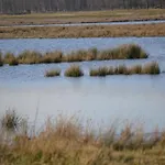 Hotel De Moerse Hoeve