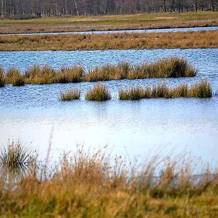 De Moerse Hoeve Hotel De Moer