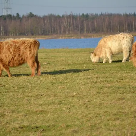 De Moerse Hoeve De Moer