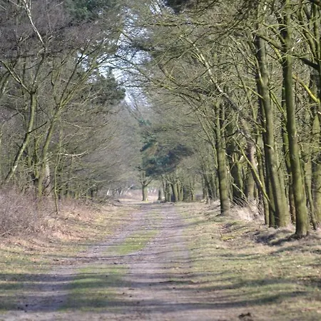 De Moerse Hoeve De Moer