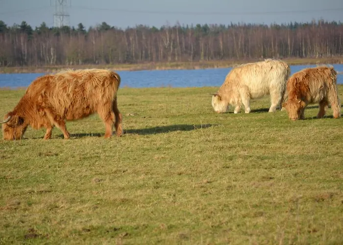 De Moerse Hoeve De Moer