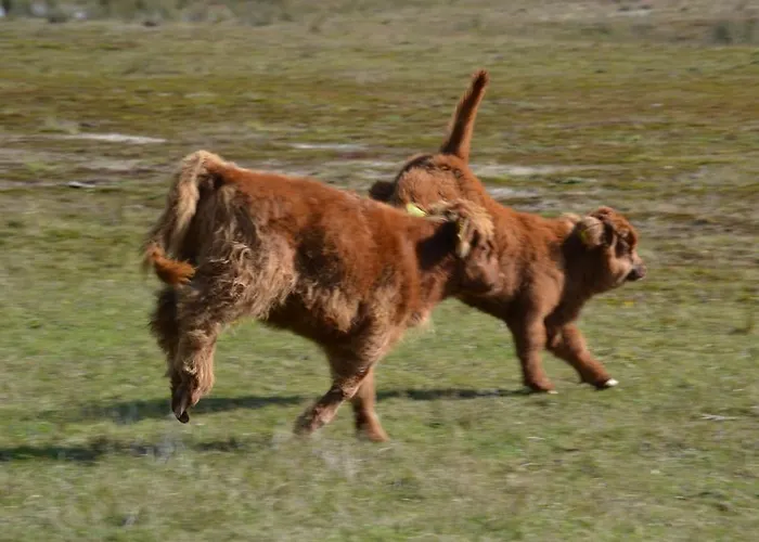 De Moerse Hoeve Hotel De Moer