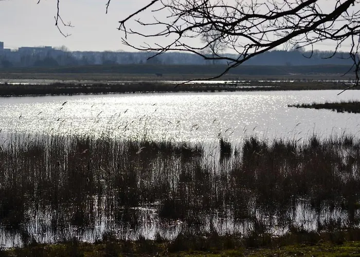 De Moerse Hoeve 3* De Moer