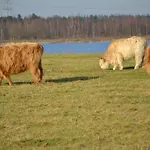 De Moerse Hoeve De Moer