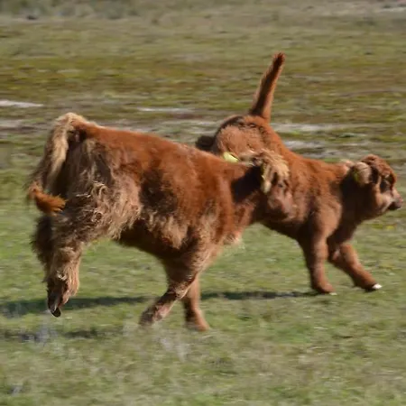 De Moerse Hoeve Ξενοδοχείο De Moer