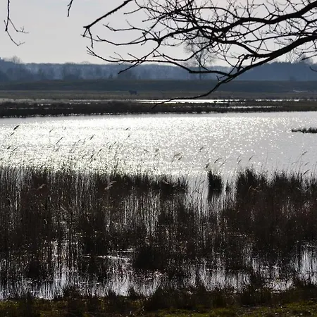 De Moerse Hoeve 3* De Moer