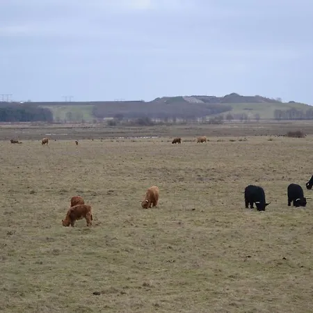 Hotel De Moerse Hoeve 3*