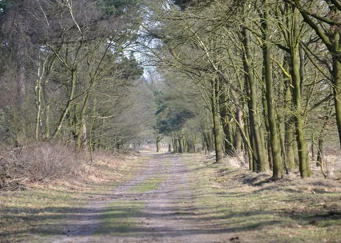 De Moerse Hoeve De Moer