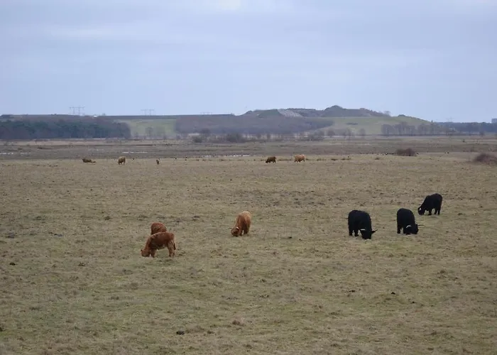 Szálloda De Moerse Hoeve 3*
